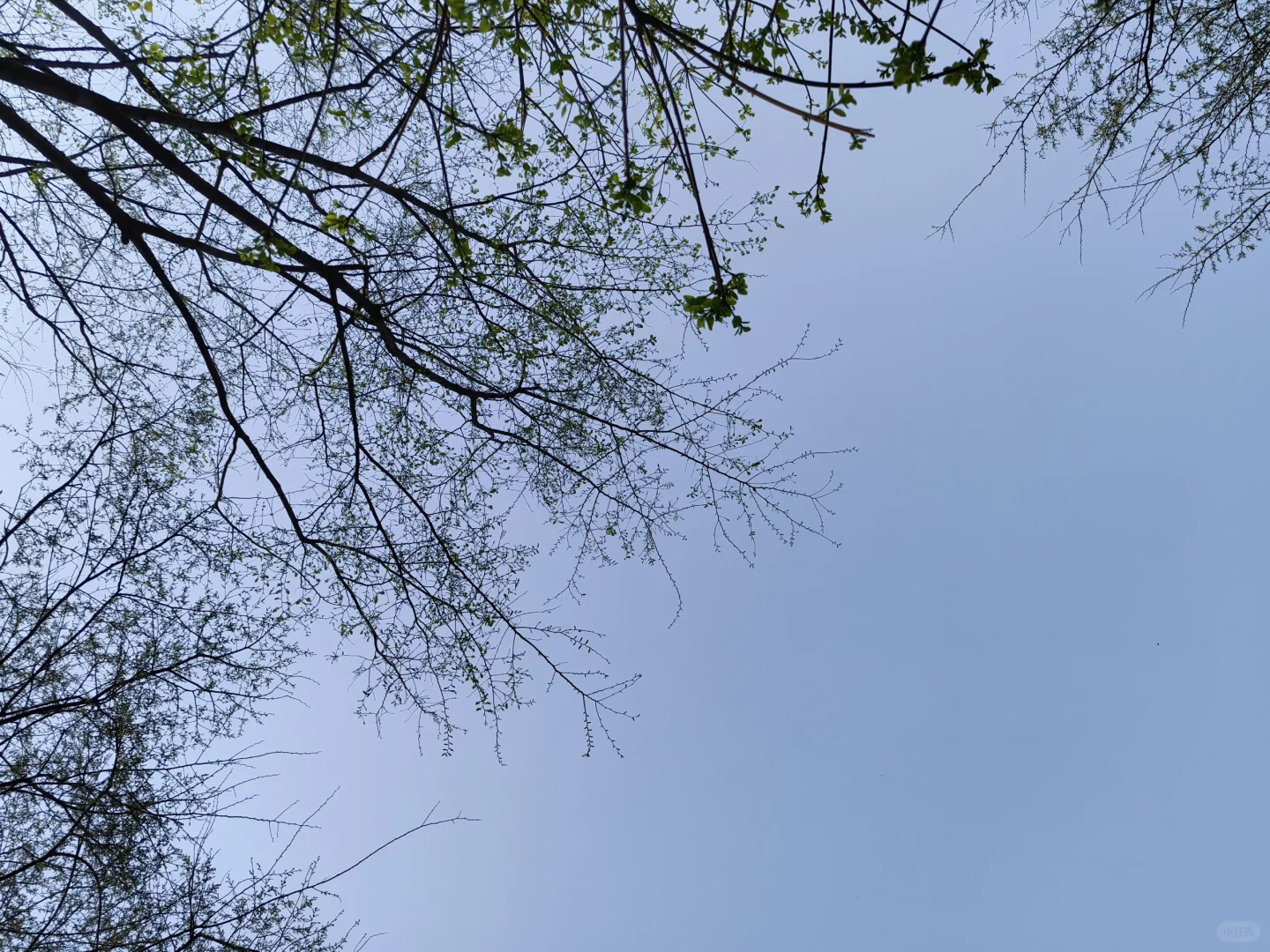 朱仙镇，坑坑景区，不推荐