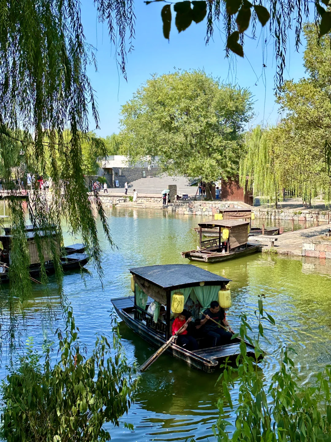 不是大理….是郑州！！！🥹🥹🥹