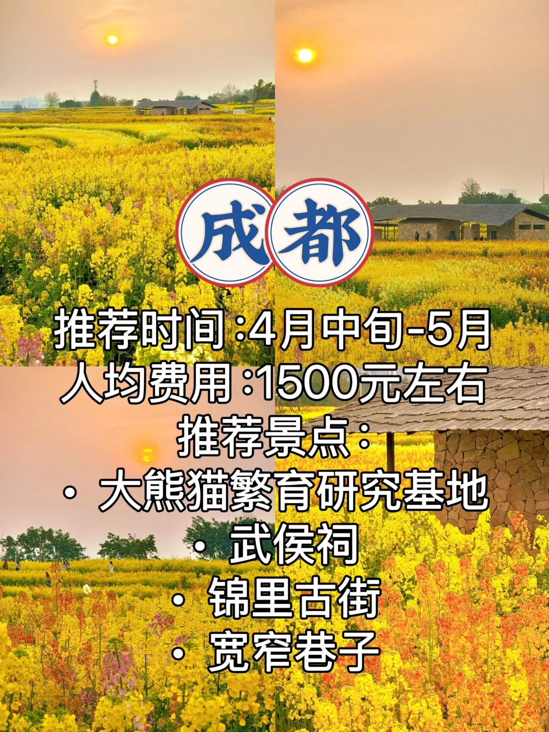 📣穷游9️⃣大热门城市旅游攻略