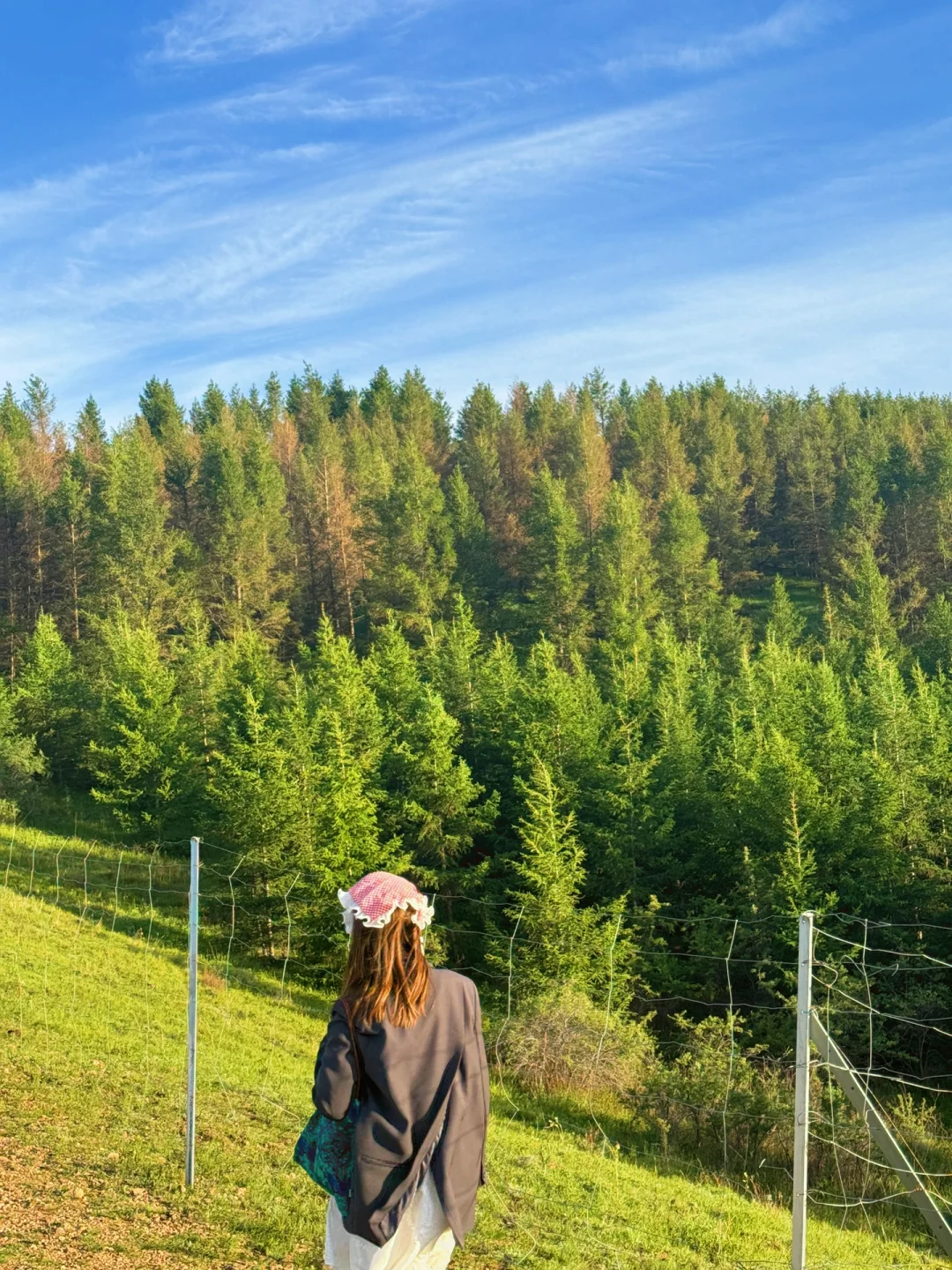 这个夏天总要来趟内蒙古小瑞士🌲(附live图)