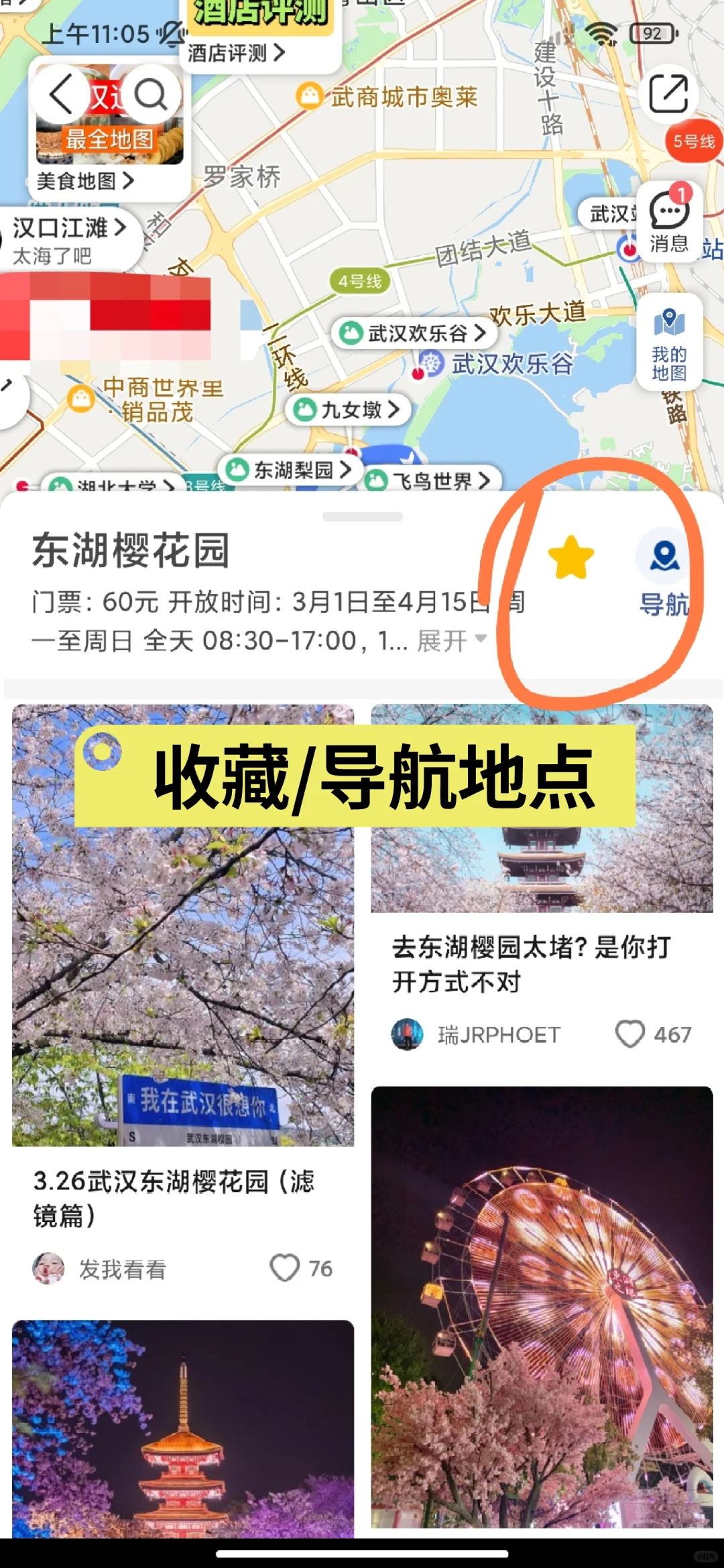 武汉东湖,经典一日游路线✔樱花季✔