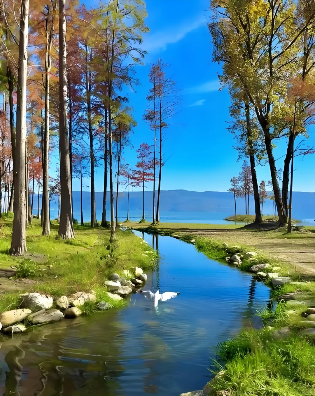 ✨大理 | 苍山洱海，奔赴一场浪漫之约💕