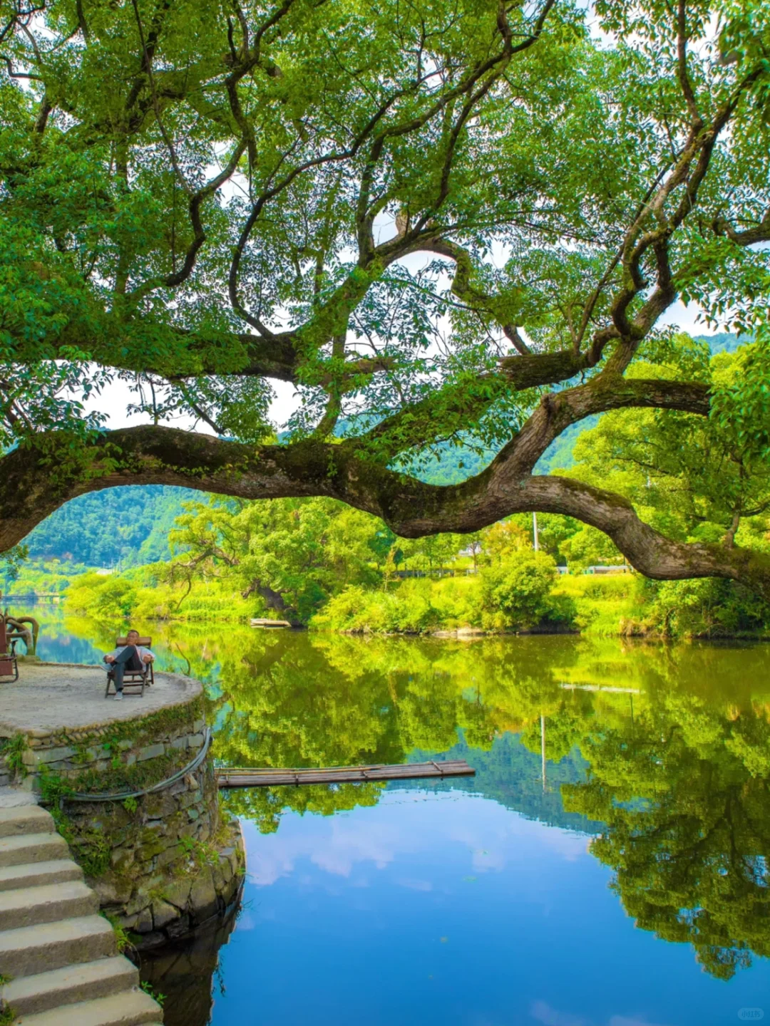 我在婺源上春山!最美古村的春天真的好绝!