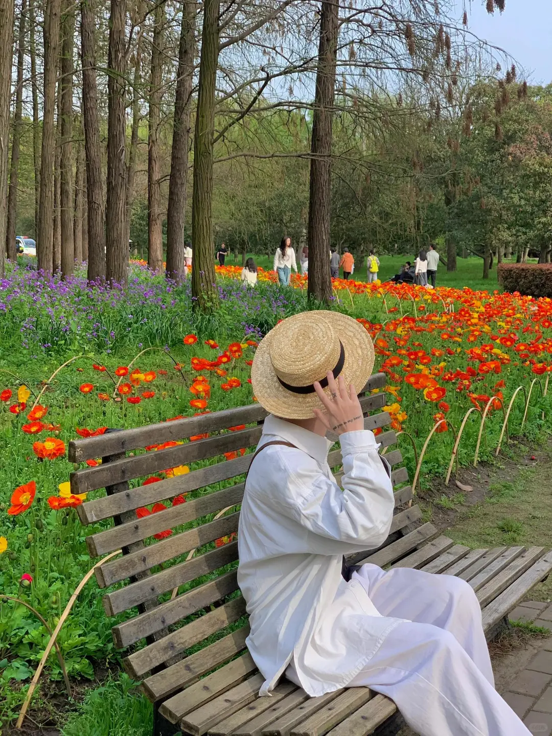 🌸共青森林公园春日撒野全攻略🌸