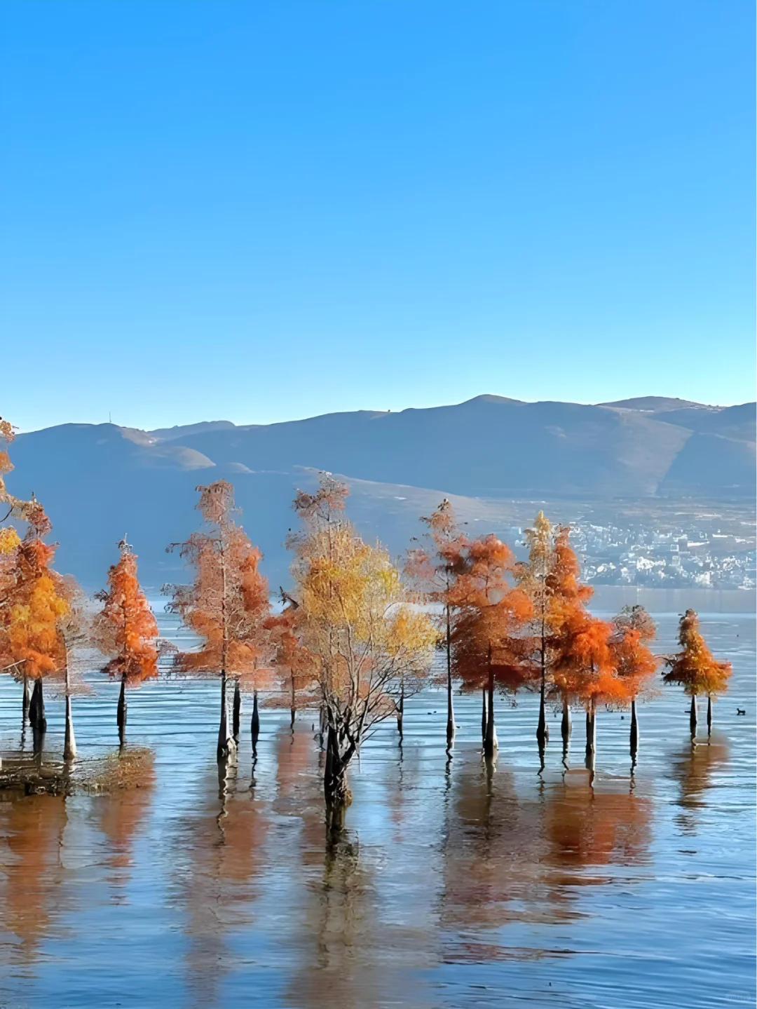 ✨大理 | 苍山洱海，奔赴一场浪漫之约💕