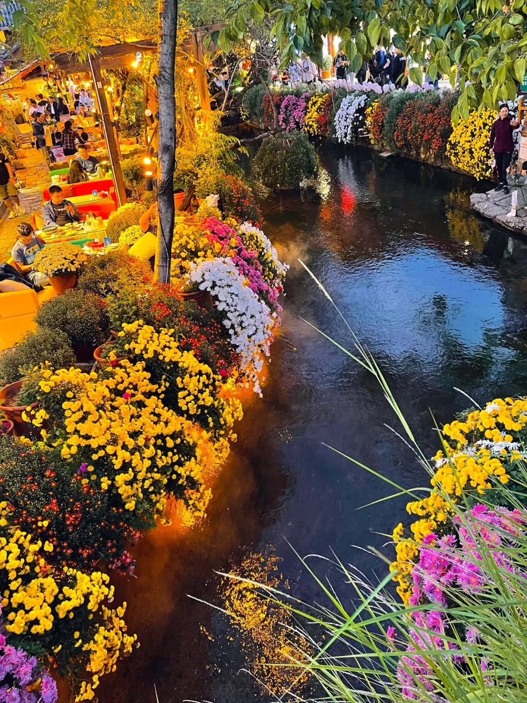 ✨丽江古城旅游攻略✨