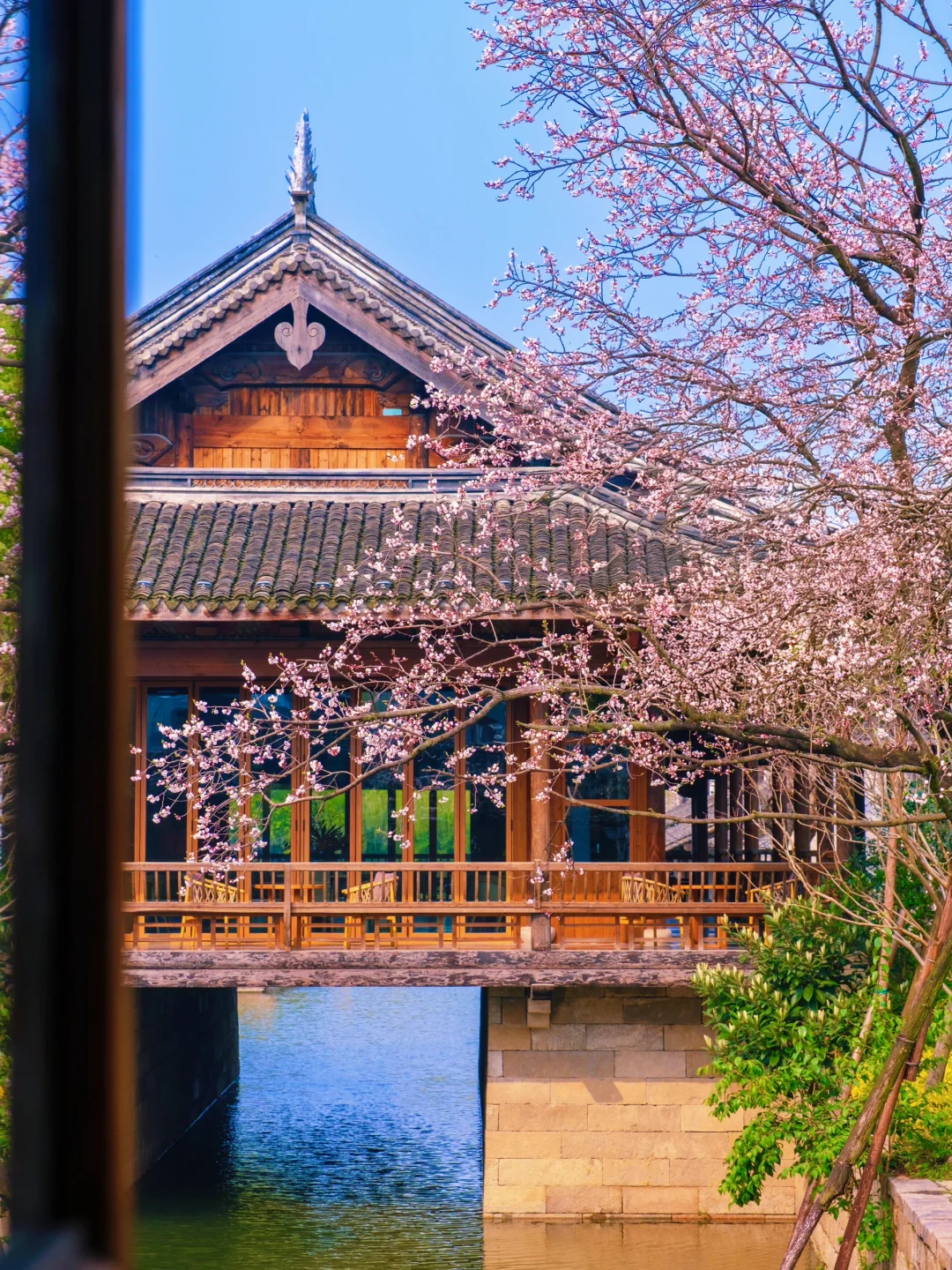 Live｜迄今为止，我最喜欢的古城出现了‼️