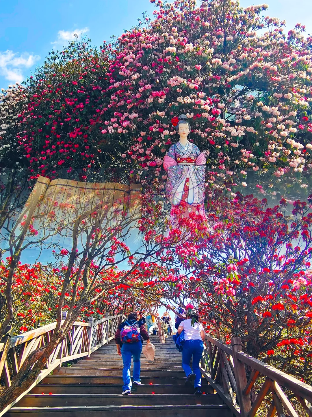 😍已经开始狠狠期待贵州的💐百里杜鹃了