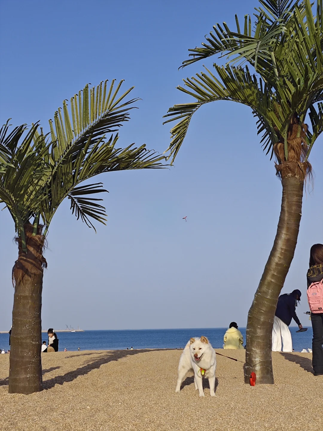 说走就走的日照之行