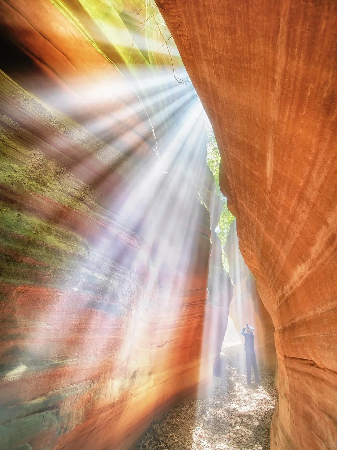 《国家地理》没骗我❗最震撼的羚羊谷在陕北!!