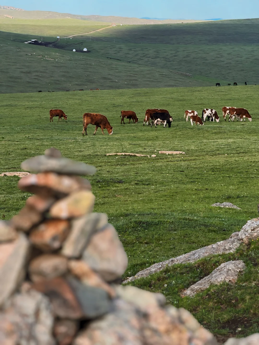 这个夏天总要来趟内蒙古小瑞士🌲(附live图)