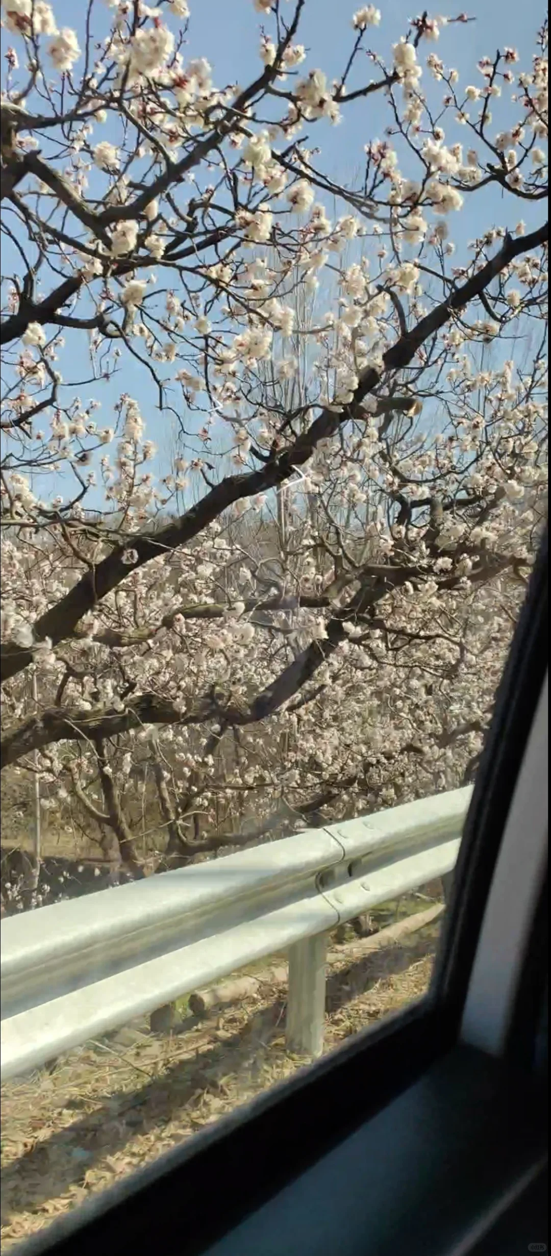 退休后我在南部山区的闲居生活