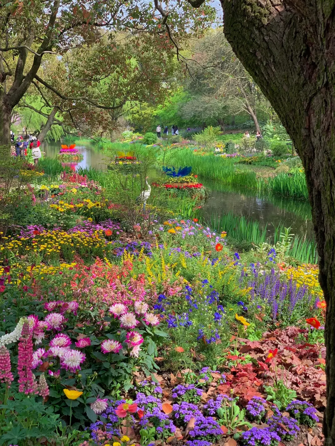 🌸共青森林公园春日撒野全攻略🌸