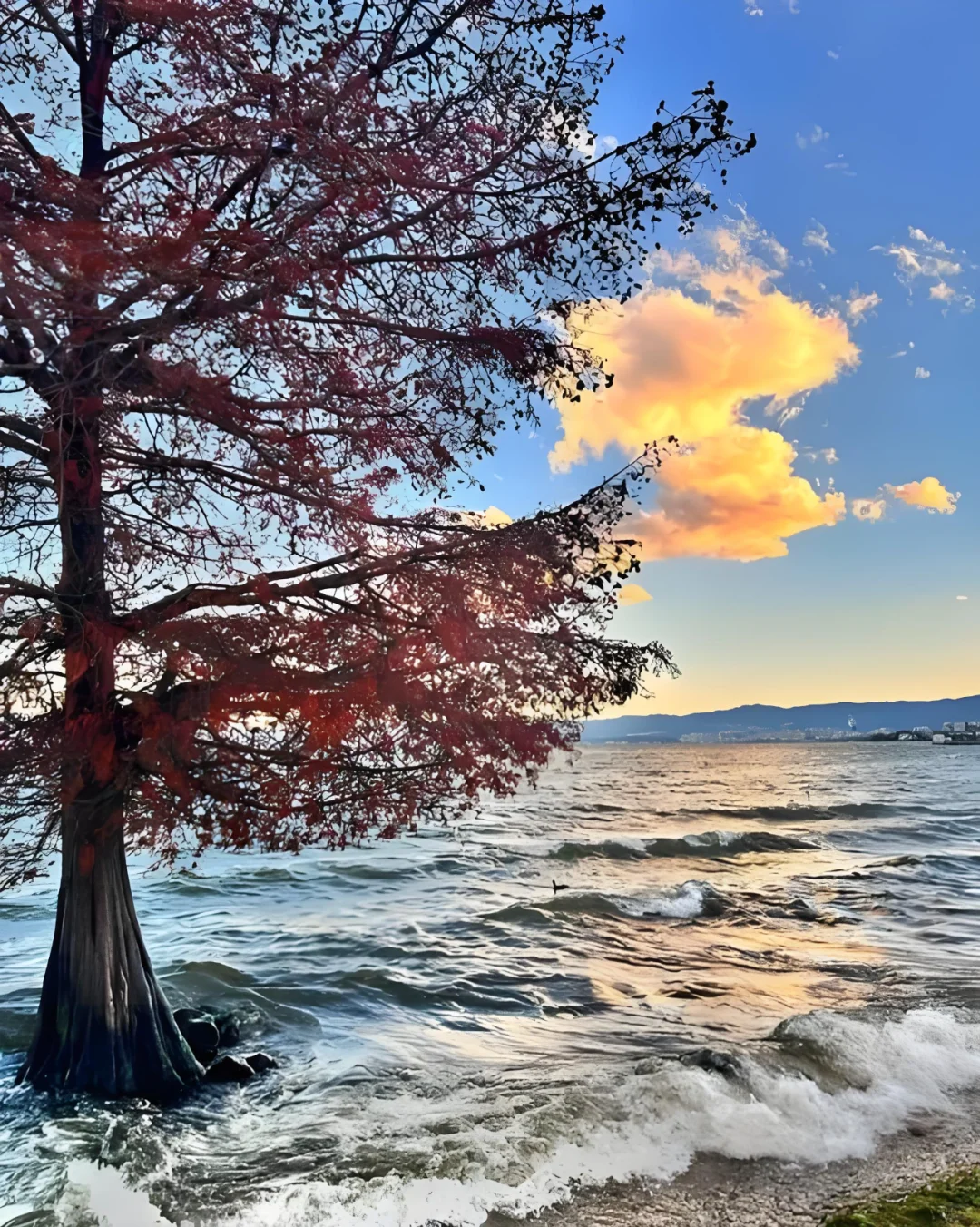 ✨大理 | 苍山洱海，奔赴一场浪漫之约💕