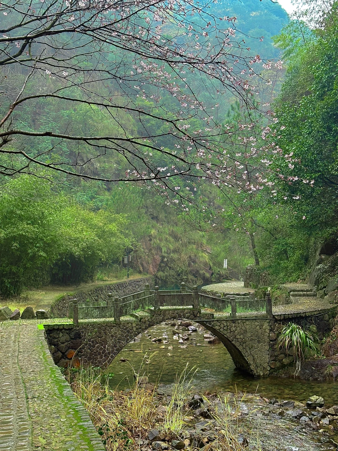 可恶！桐庐真的让我破防了😭