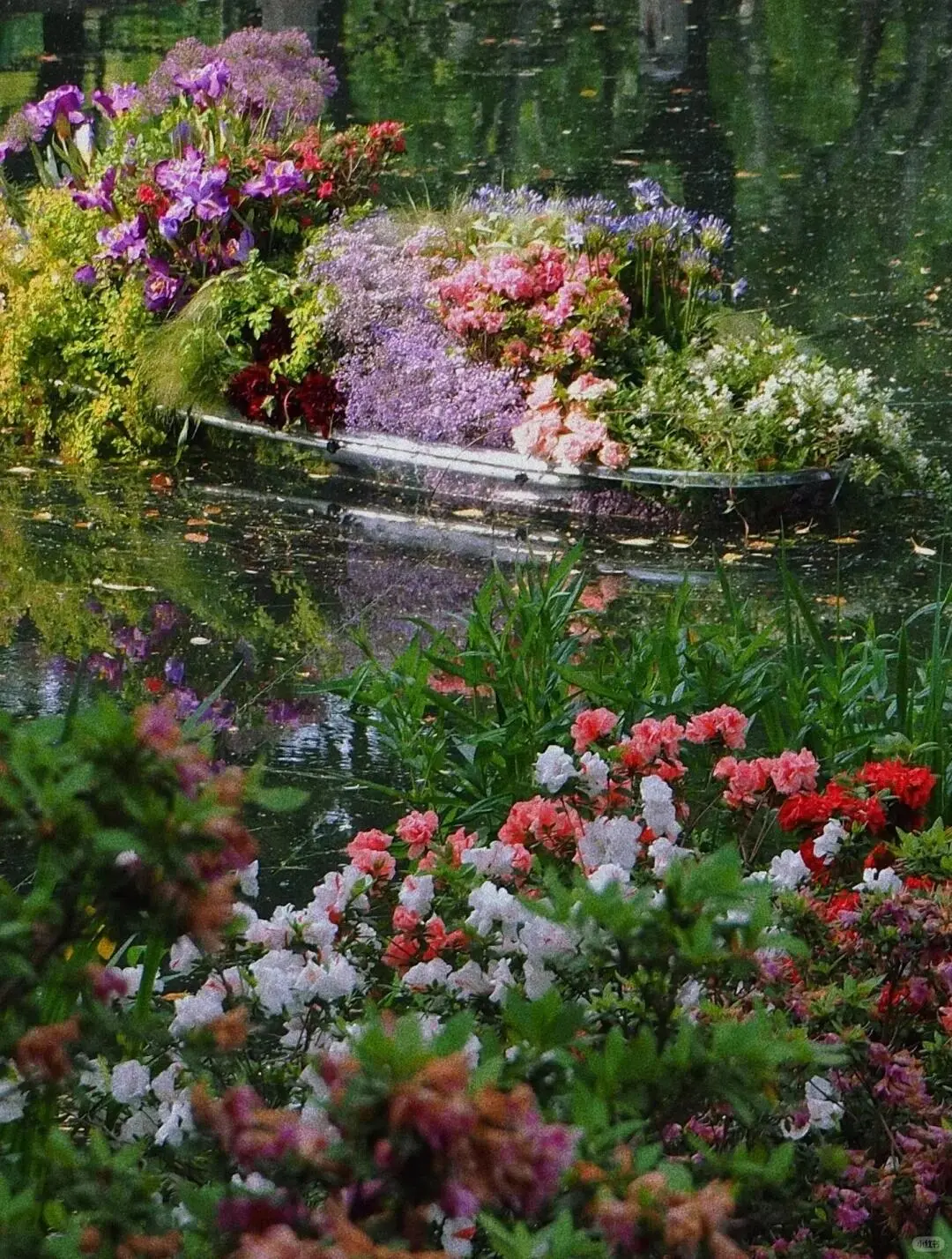 🌸共青森林公园春日撒野全攻略🌸