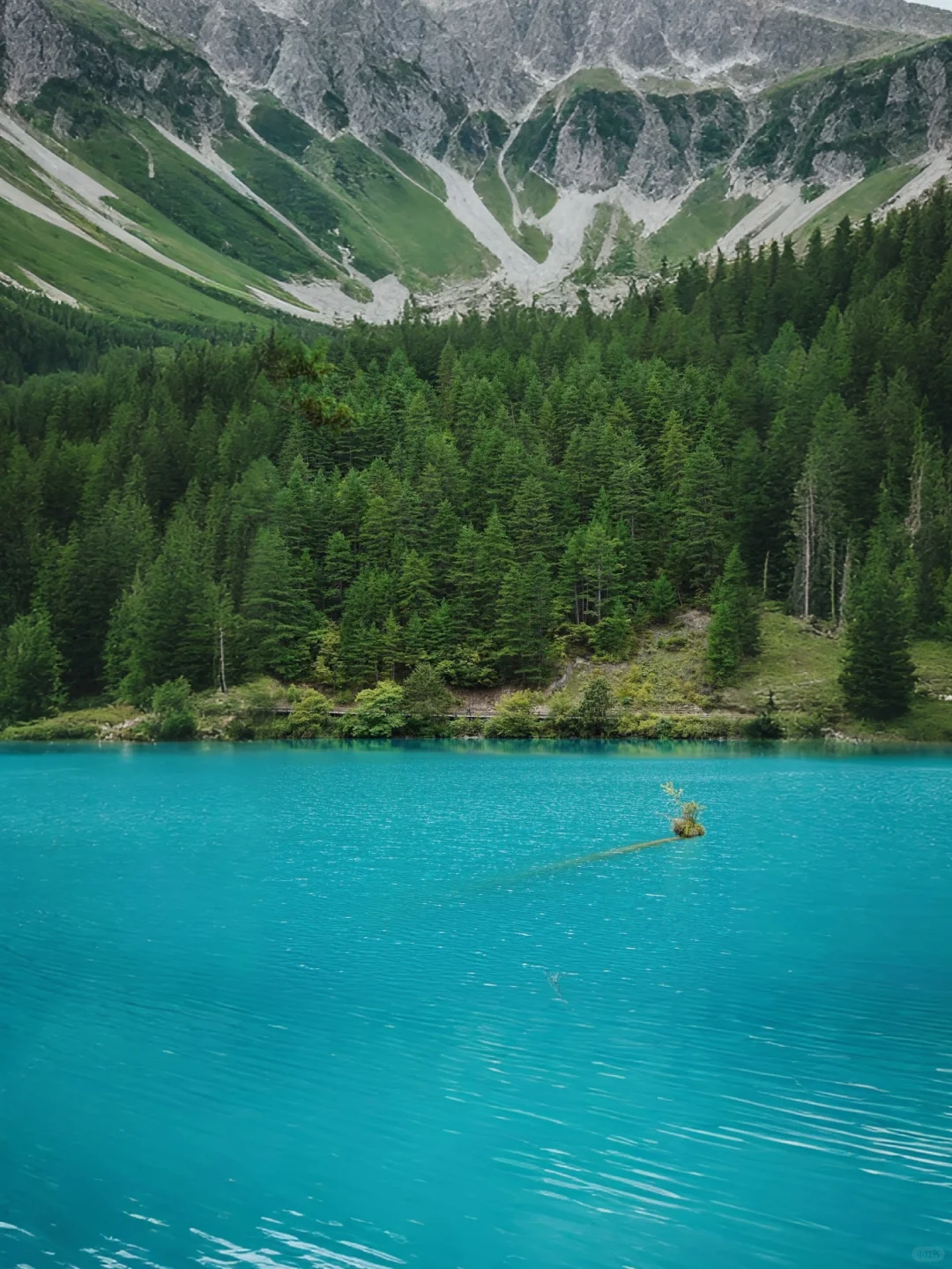 九寨沟桃花盛最佳时间🌸吃住行超全攻略避