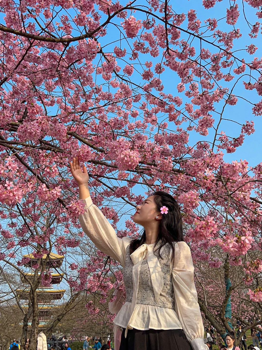 🤣武汉已回。。只想说些大实话！！！（听劝）