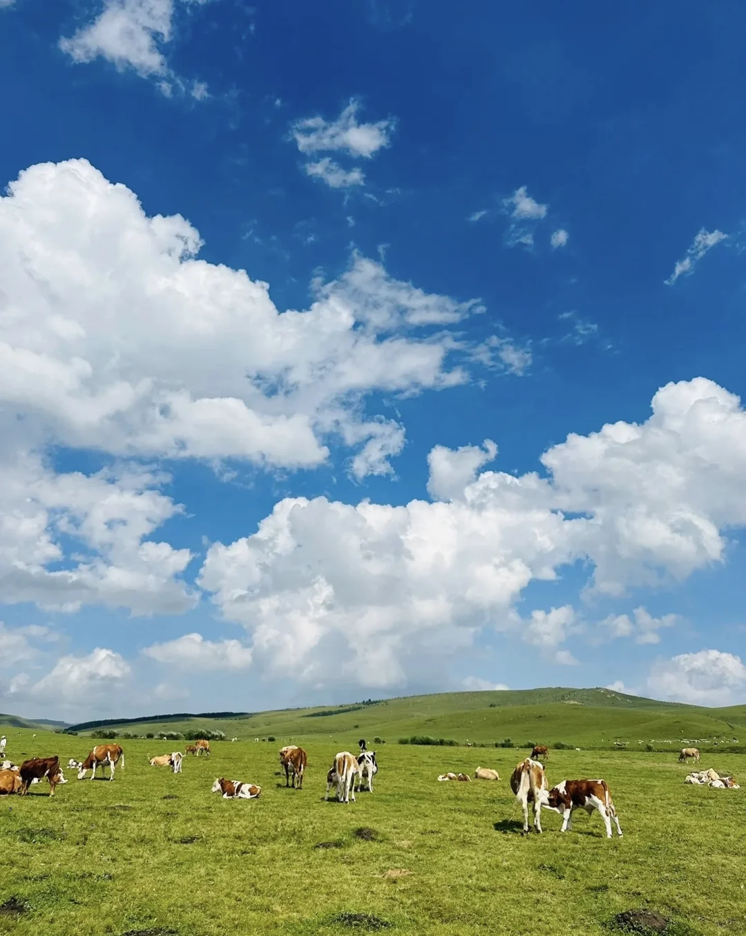 热阿线保姆级攻略｜性价比&体验感双天花板