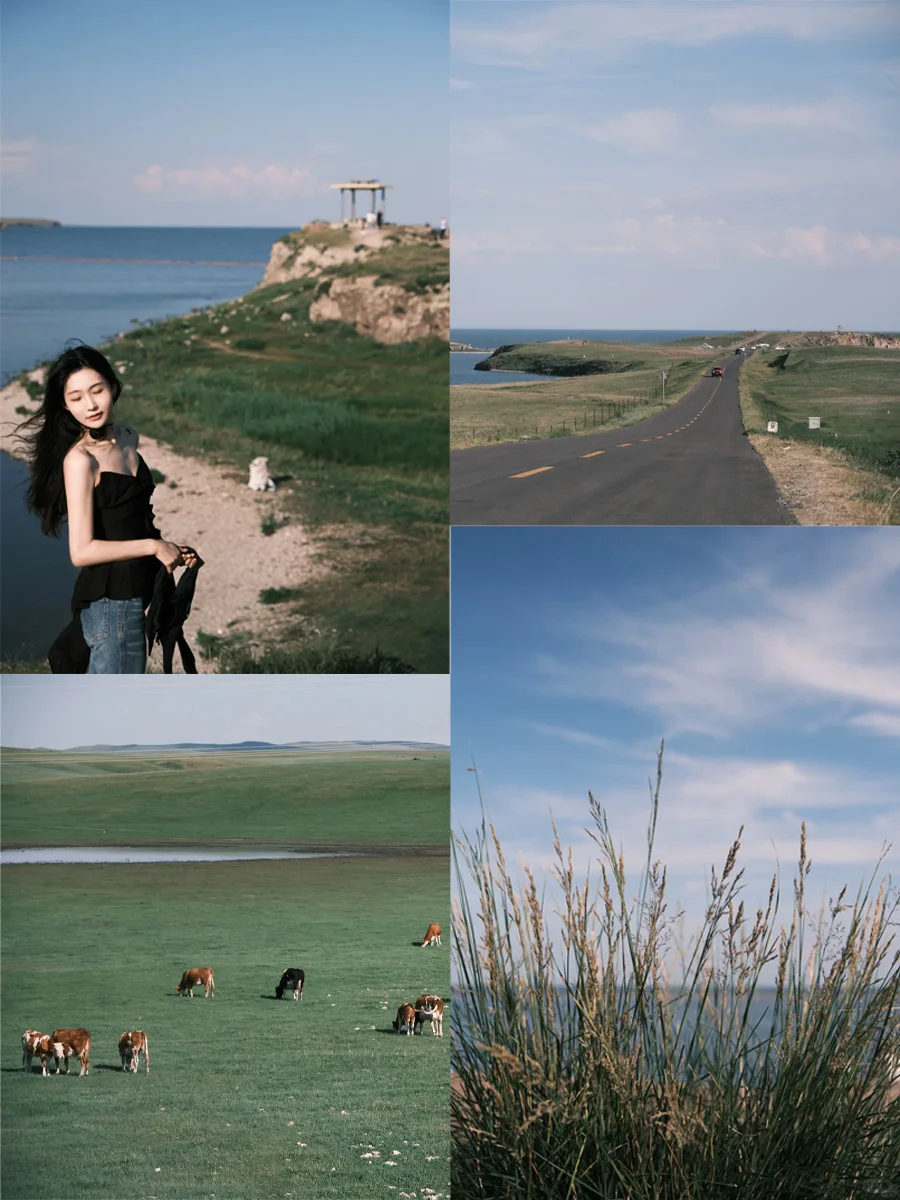 3-5月月去内蒙古的姐妹能刷到这篇🥰