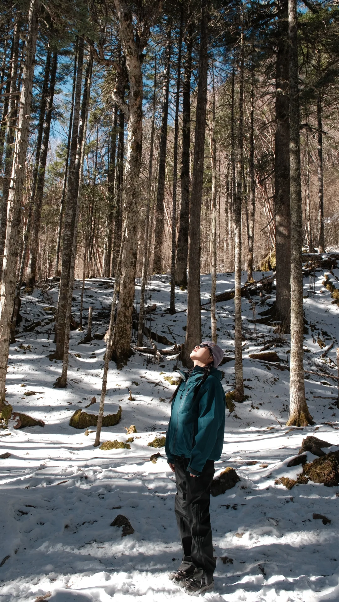 五天五晚 虎跳峡➕雨崩