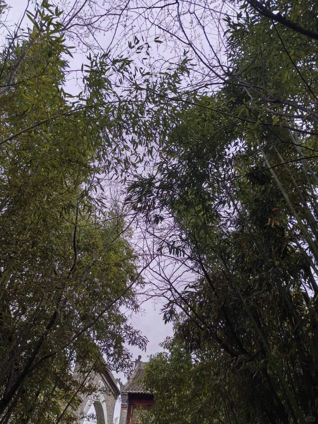 朱仙镇，坑坑景区，不推荐