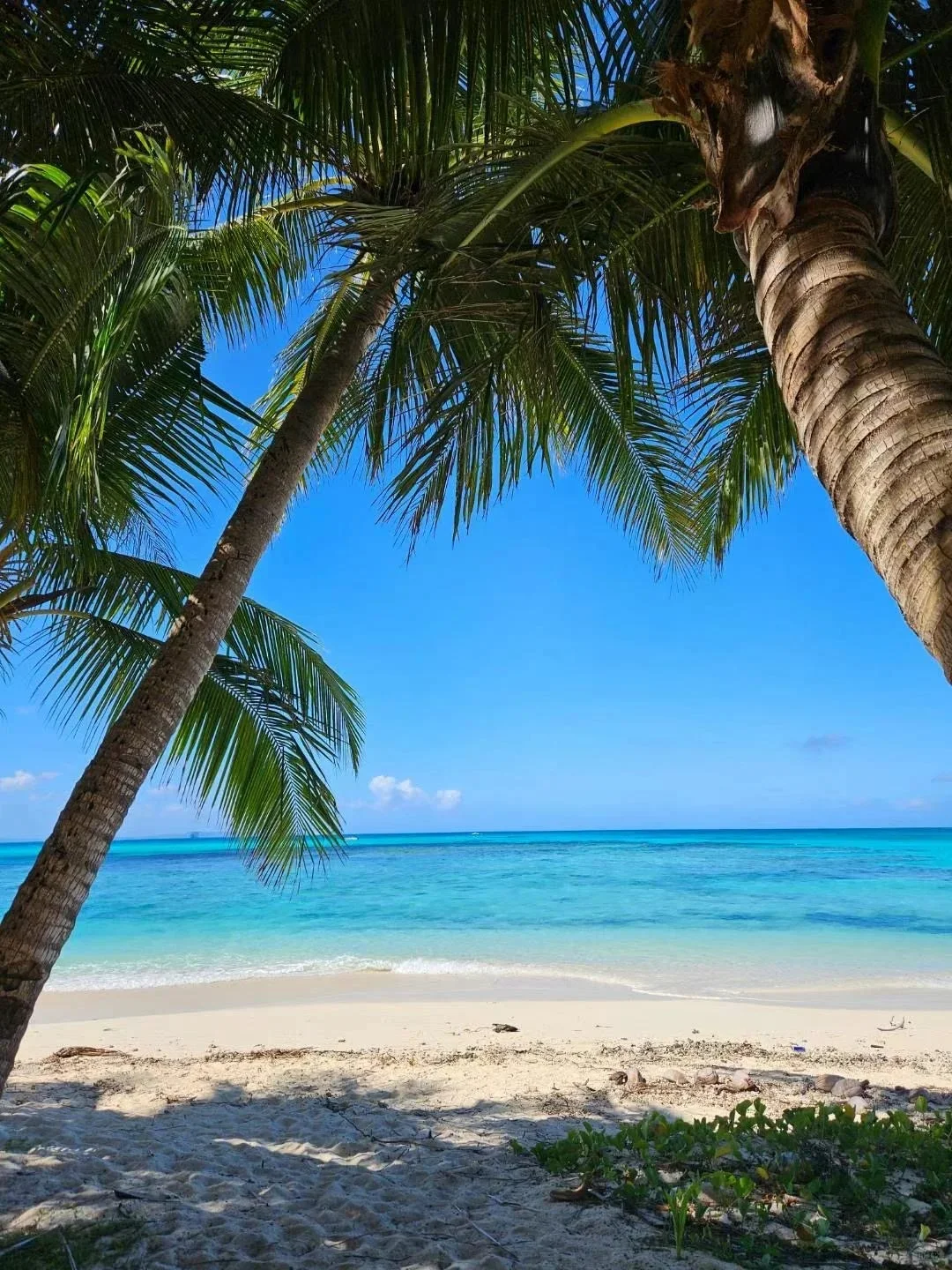 🏝️塞班岛｜巨美！每一帧都美到心醉💕