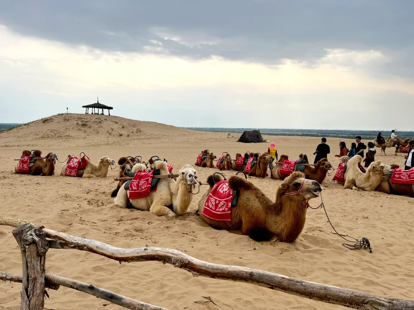 在宁夏银川的览山公园自拍