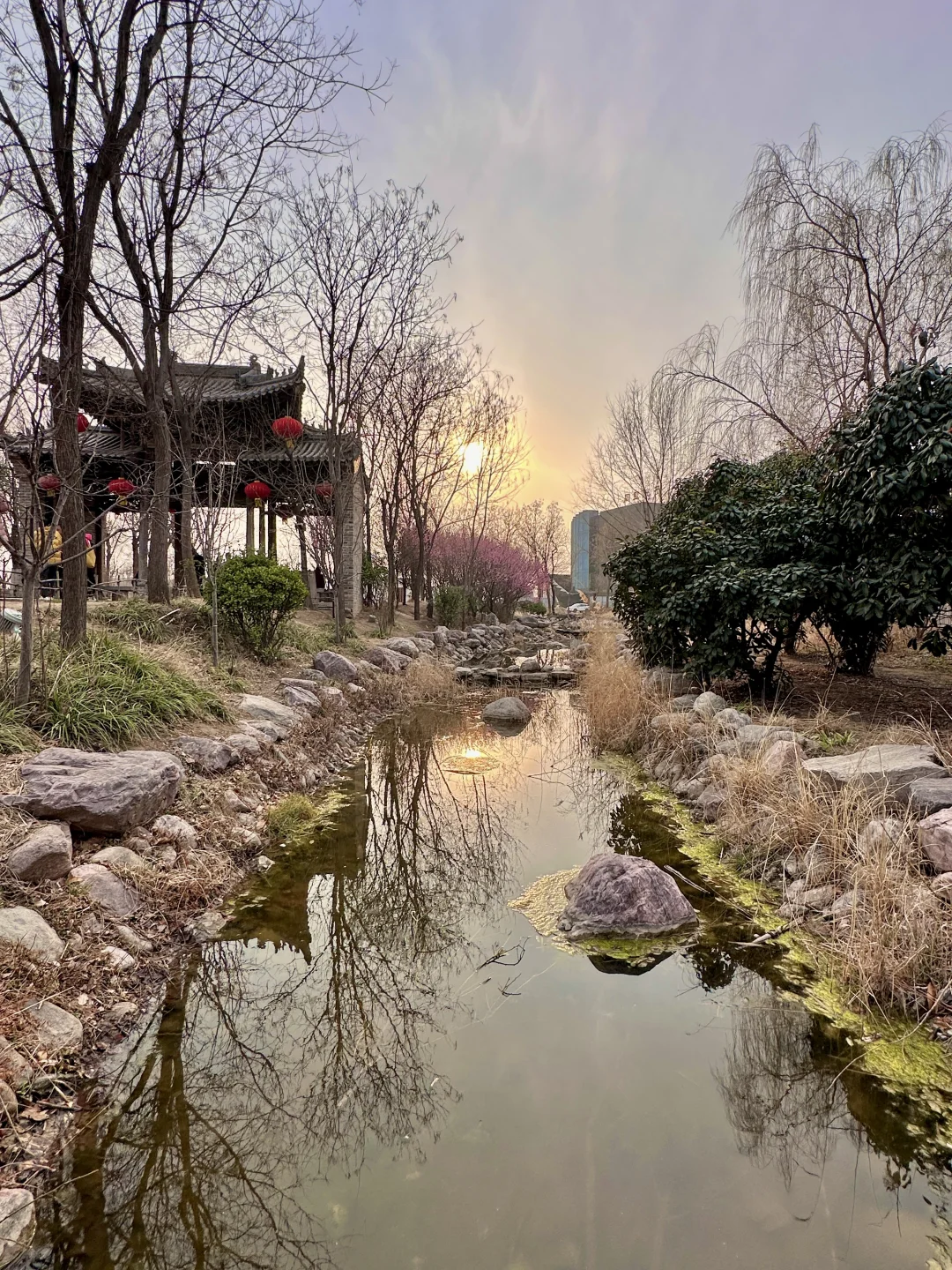 不是大理….是郑州！！！🥹🥹🥹