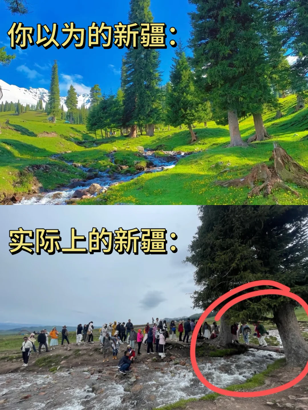 实话难听💔但这就是新疆3-5月真实现状