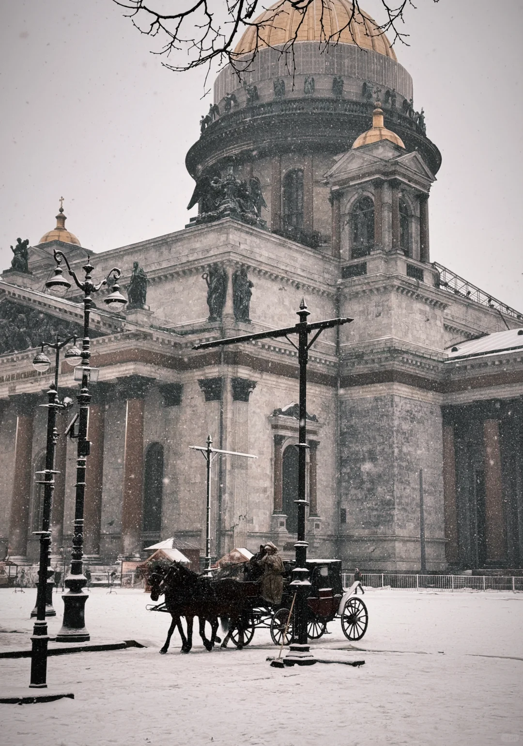 求求你们，来圣彼得堡吧🇷🇺