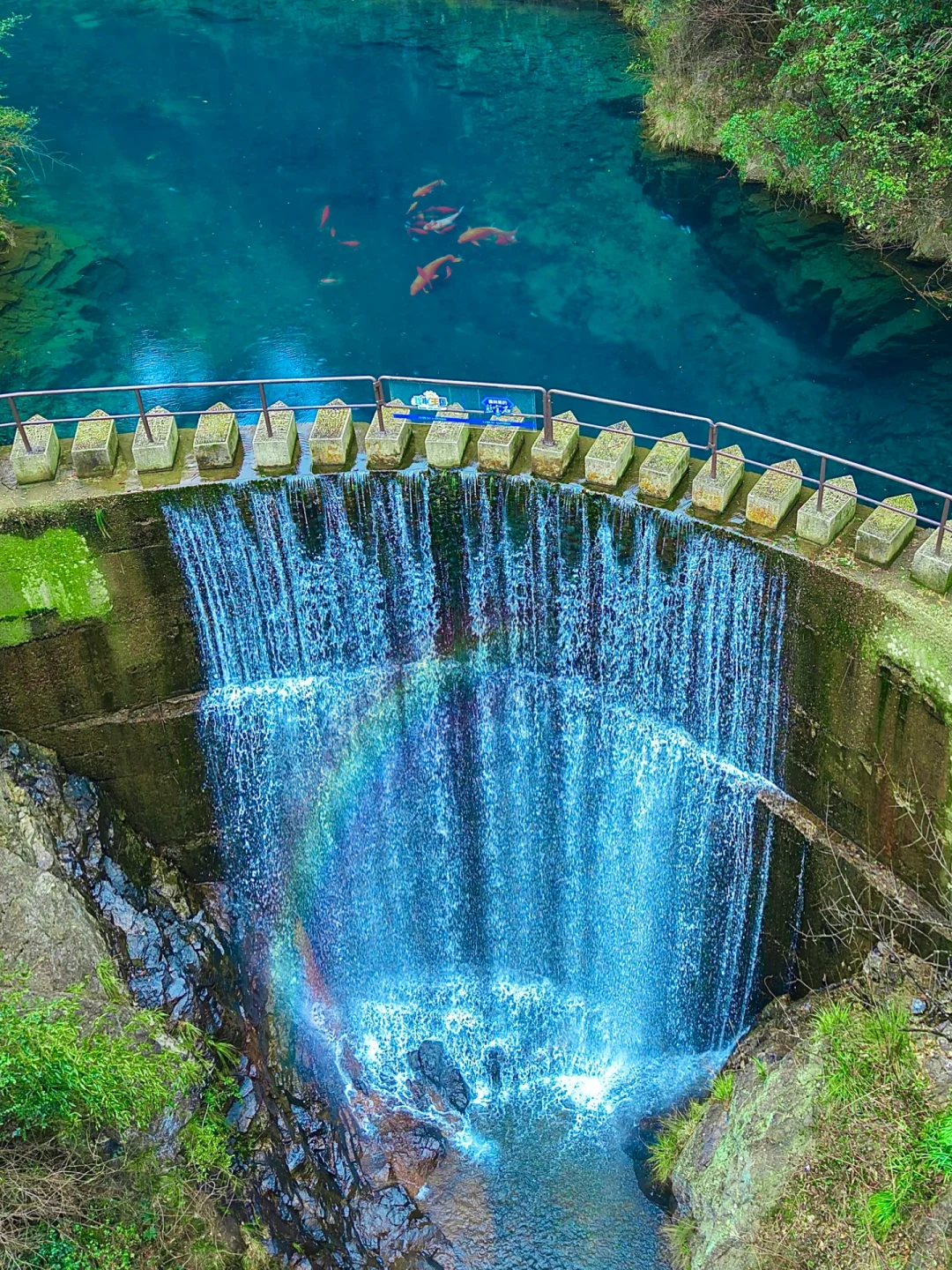 可恶！桐庐真的让我破防了😭