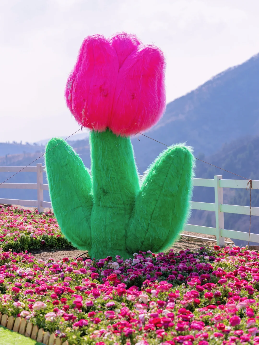 我在山东上春山⛰️发现淄博秘密花园