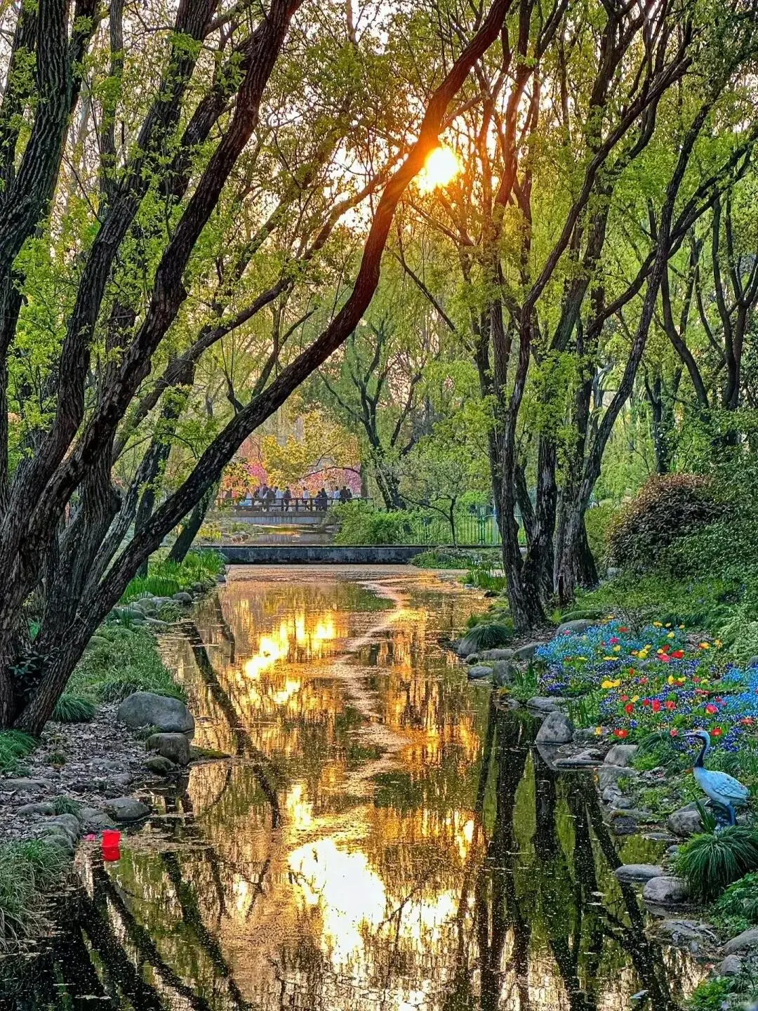 🌸共青森林公园春日撒野全攻略🌸