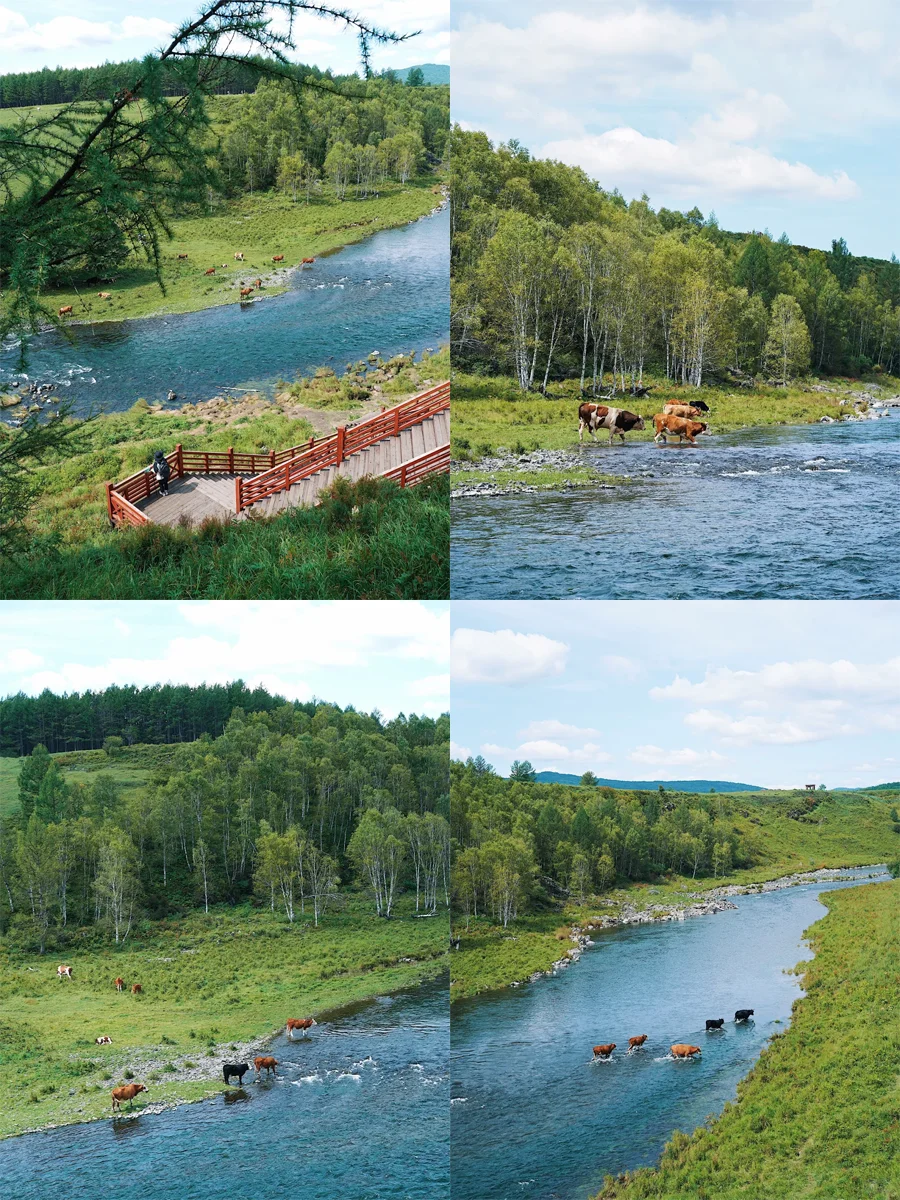 3-5月月去内蒙古的姐妹能刷到这篇🥰