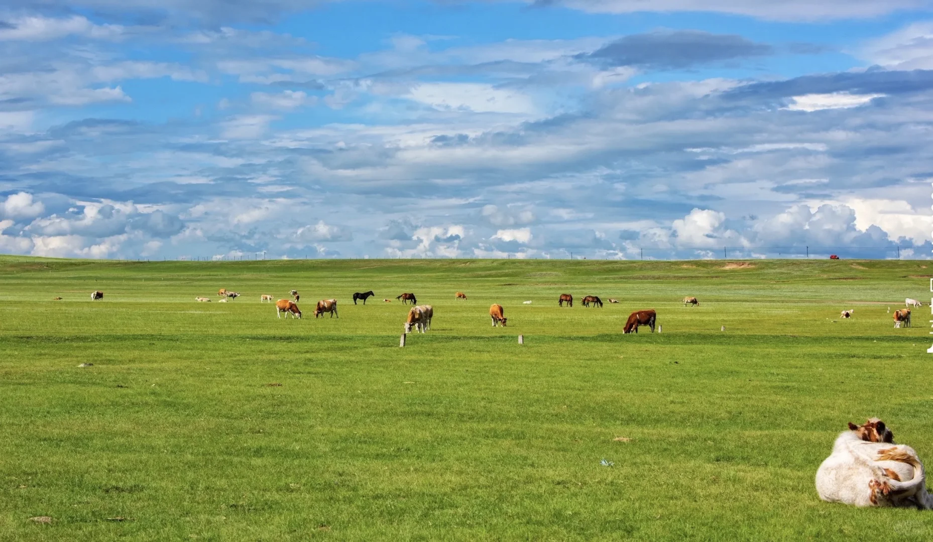 热阿线保姆级攻略｜性价比&体验感双天花板