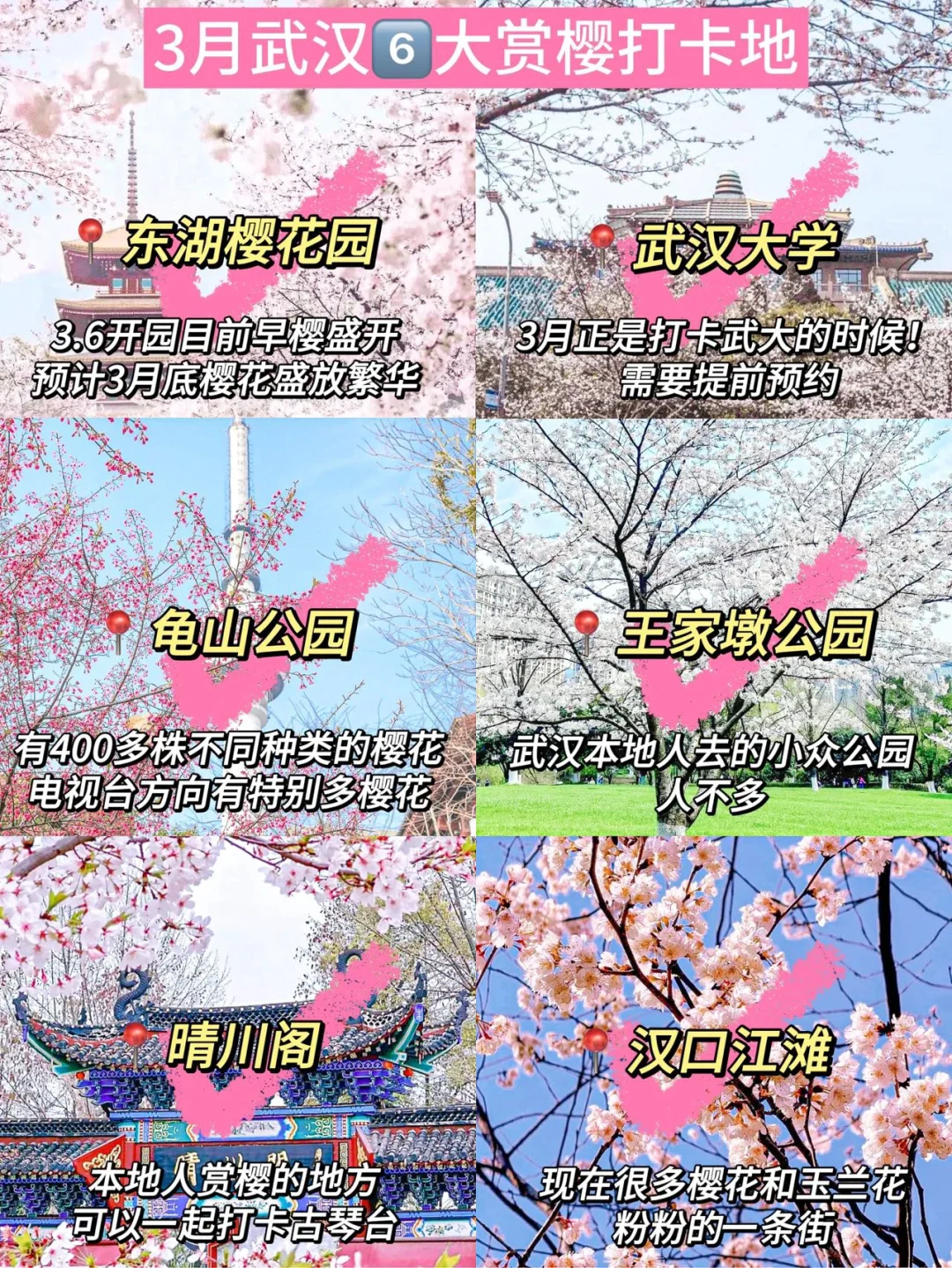 人生建议:一定要在3月樱花季🌸去一次武汉。。