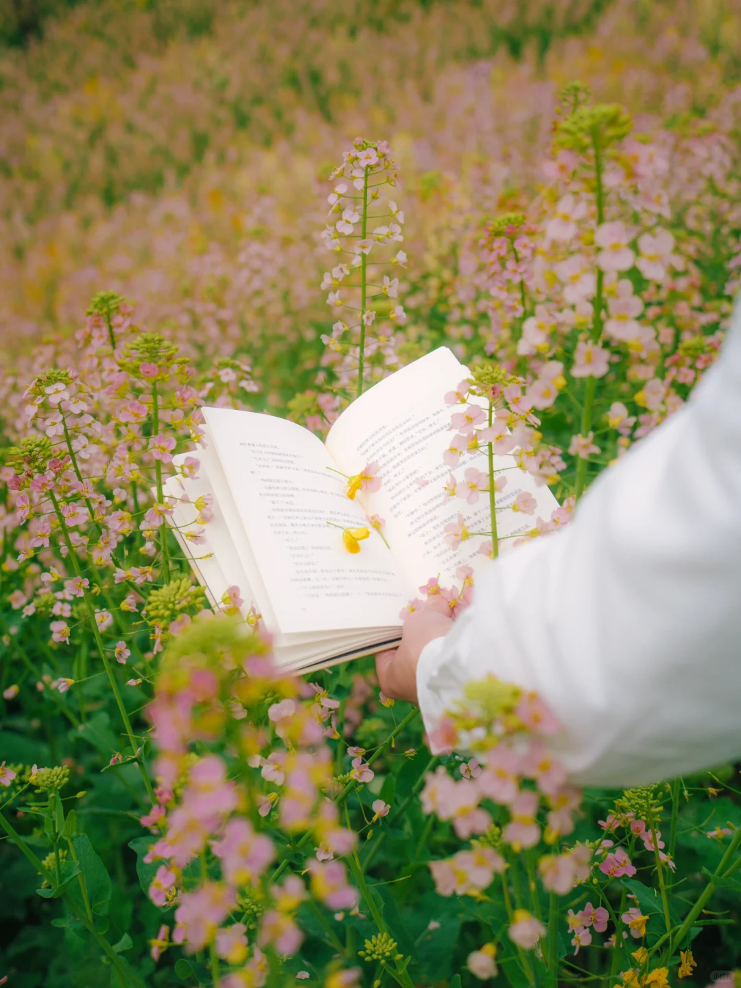 🚄高铁直达宝藏小城，两天一夜冷门小众玩法！