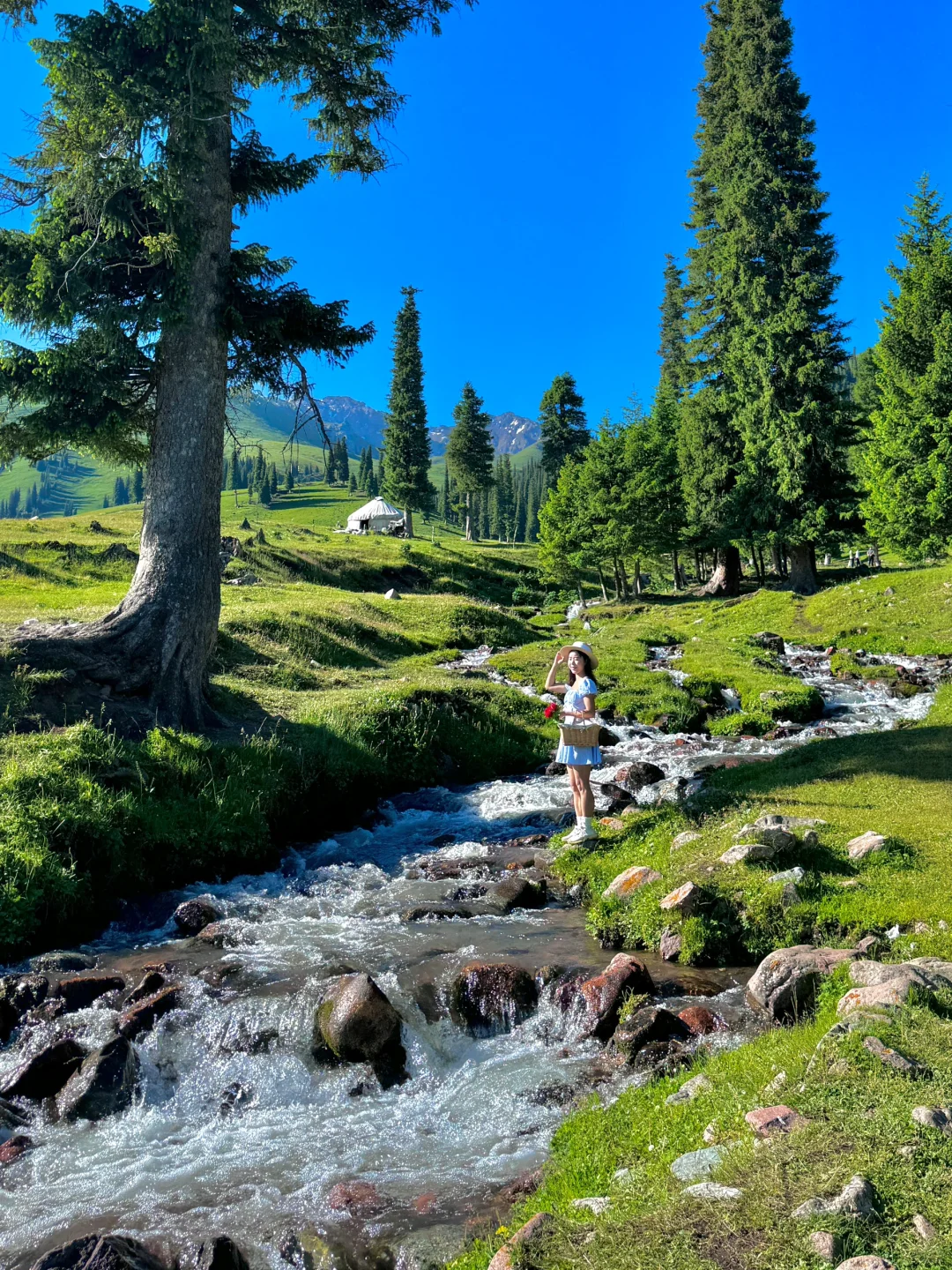 在新疆拍到了我的人生live图～🌳