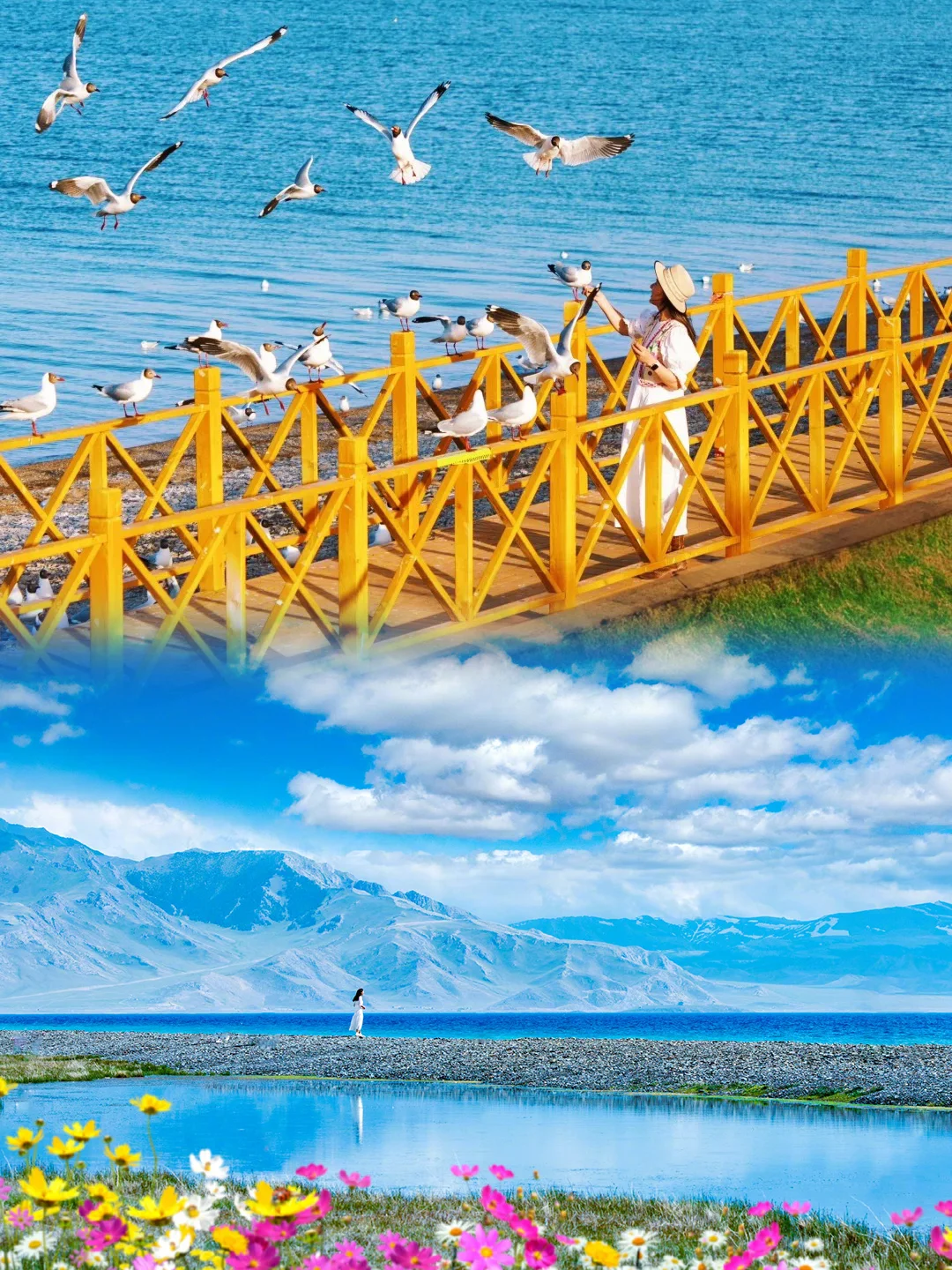 青海旅游已回📍没做攻略真的太崩溃了😭