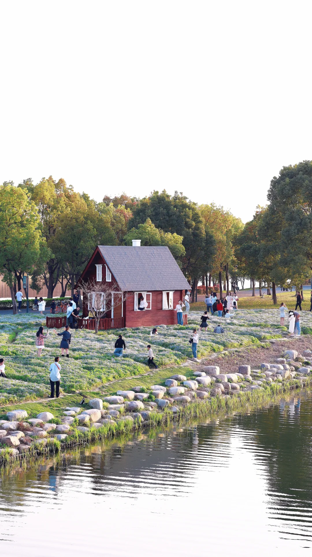 📍灵湖｜小木屋