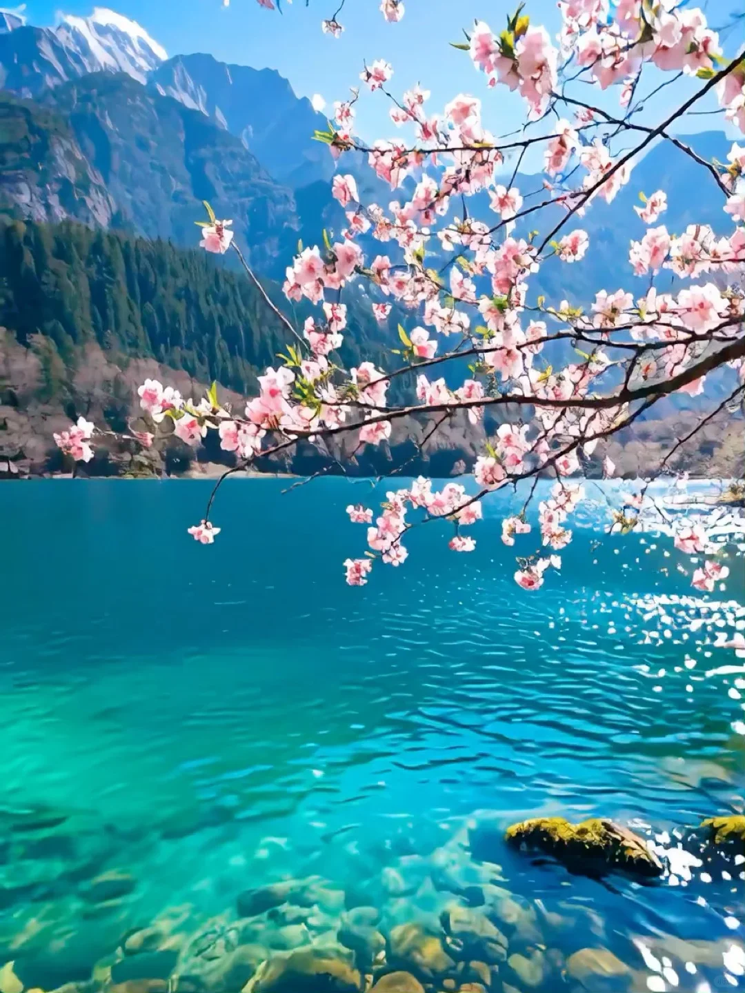 📍九寨沟｜5A景区天花板 3月接下来超美❗