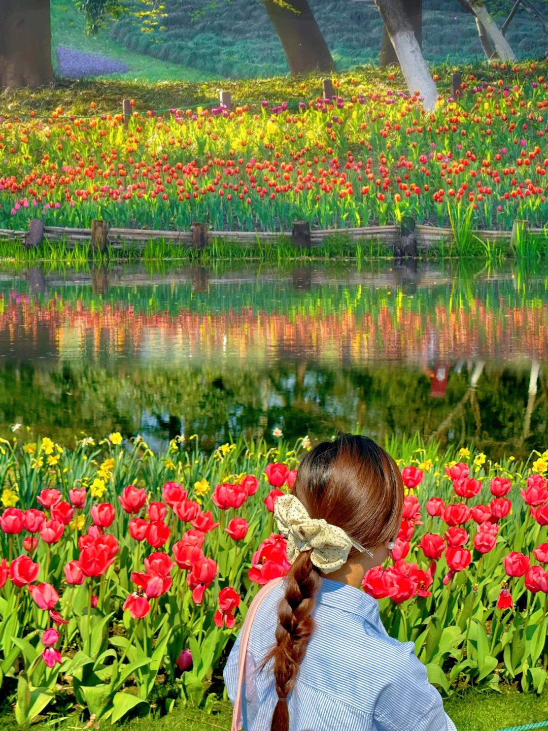 3.19实况！杭州太子湾刚回来，全是大实话！