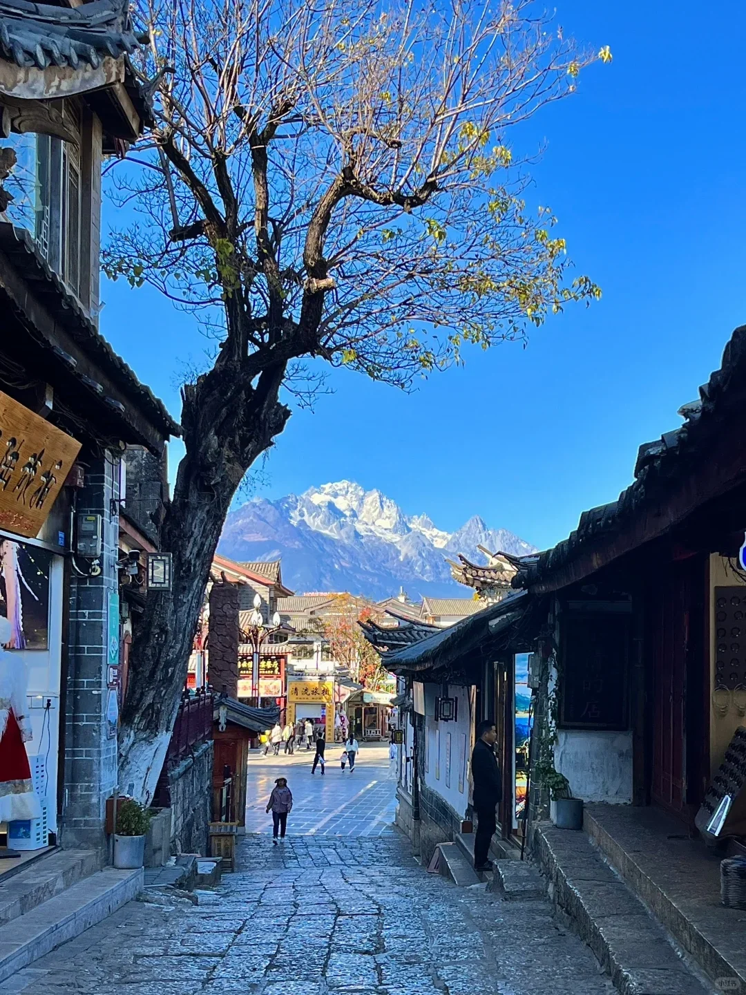 ✨丽江古城旅游攻略✨