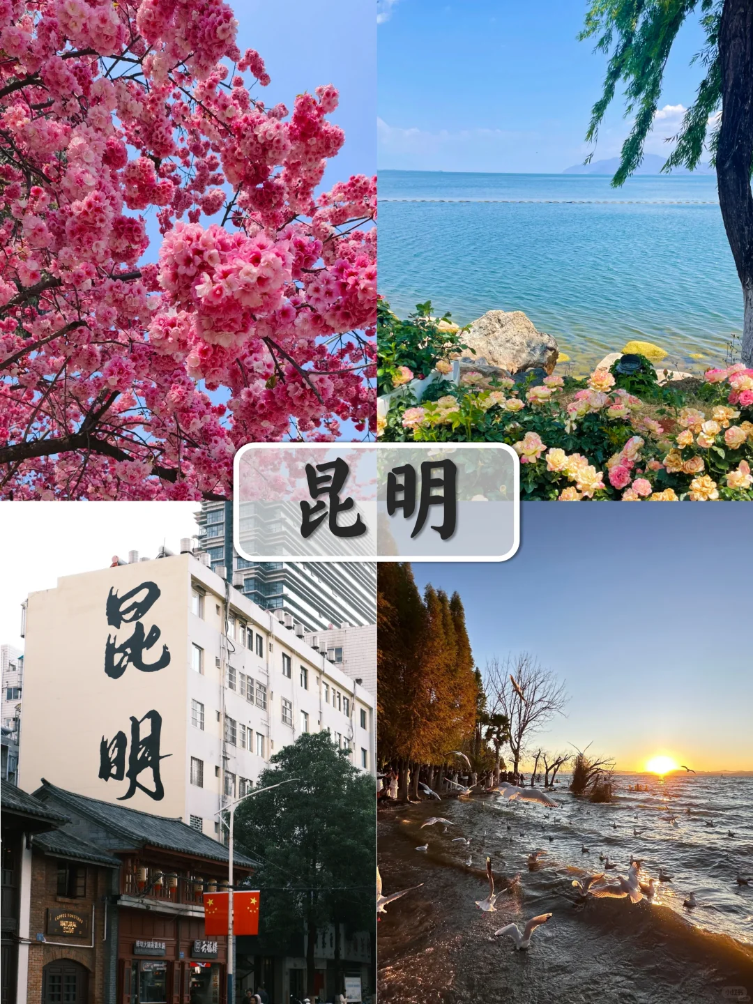 云南旅游攻略🔥人均1k+玩转云南昆明大理