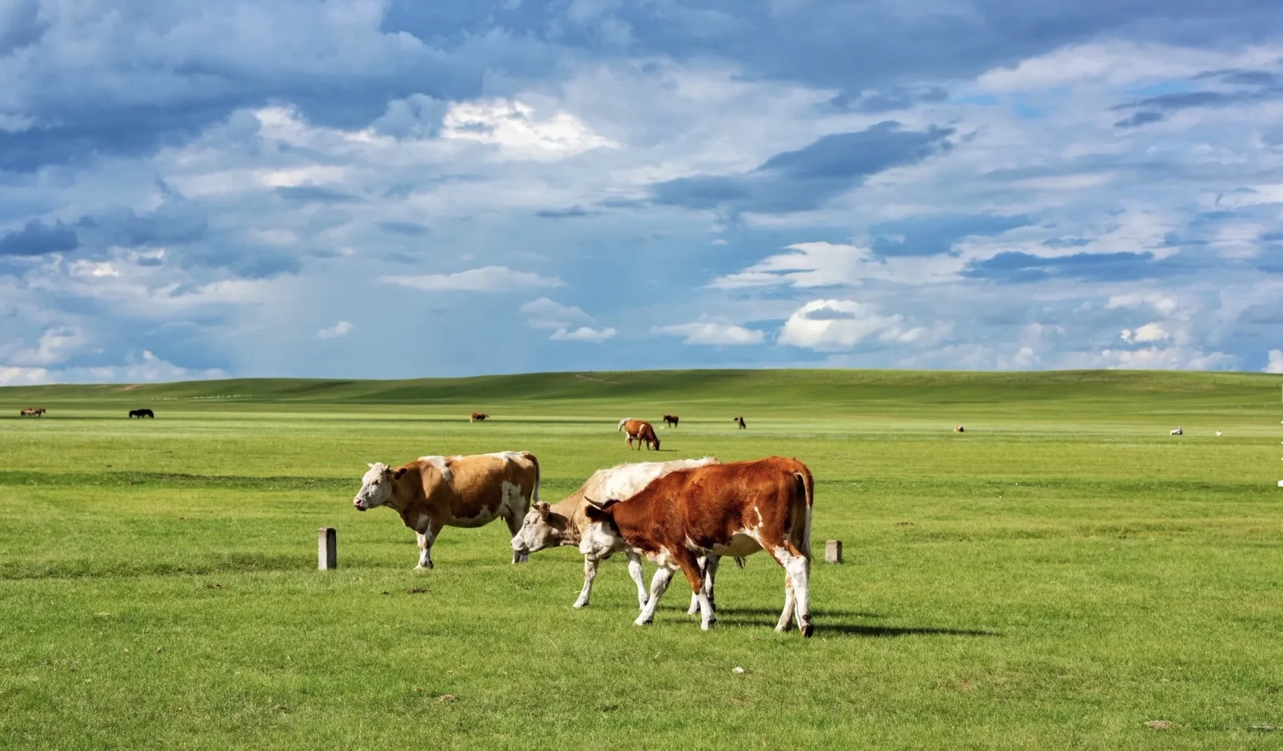 热阿线保姆级攻略｜性价比&体验感双天花板