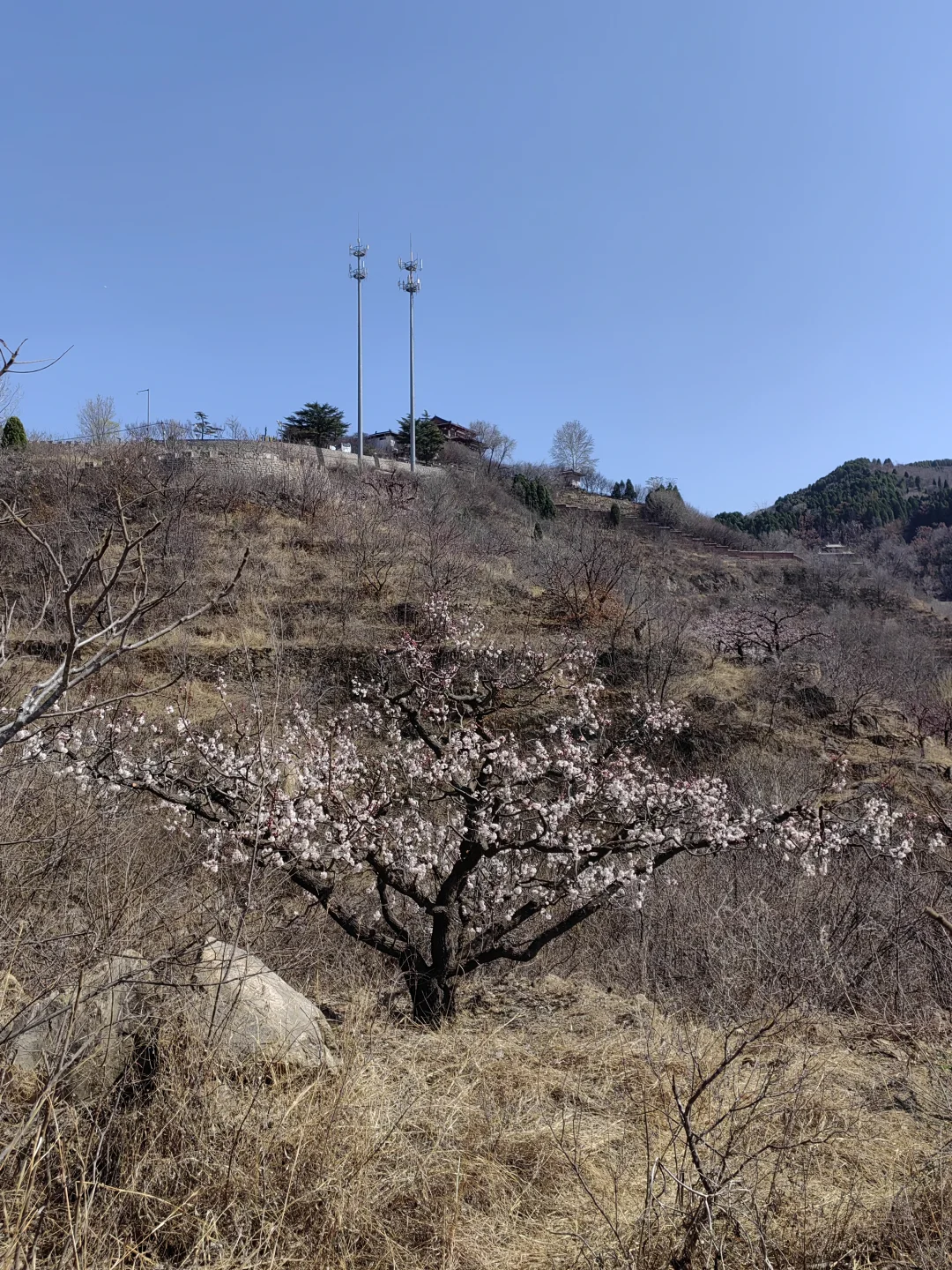 退休后我在南部山区的闲居生活