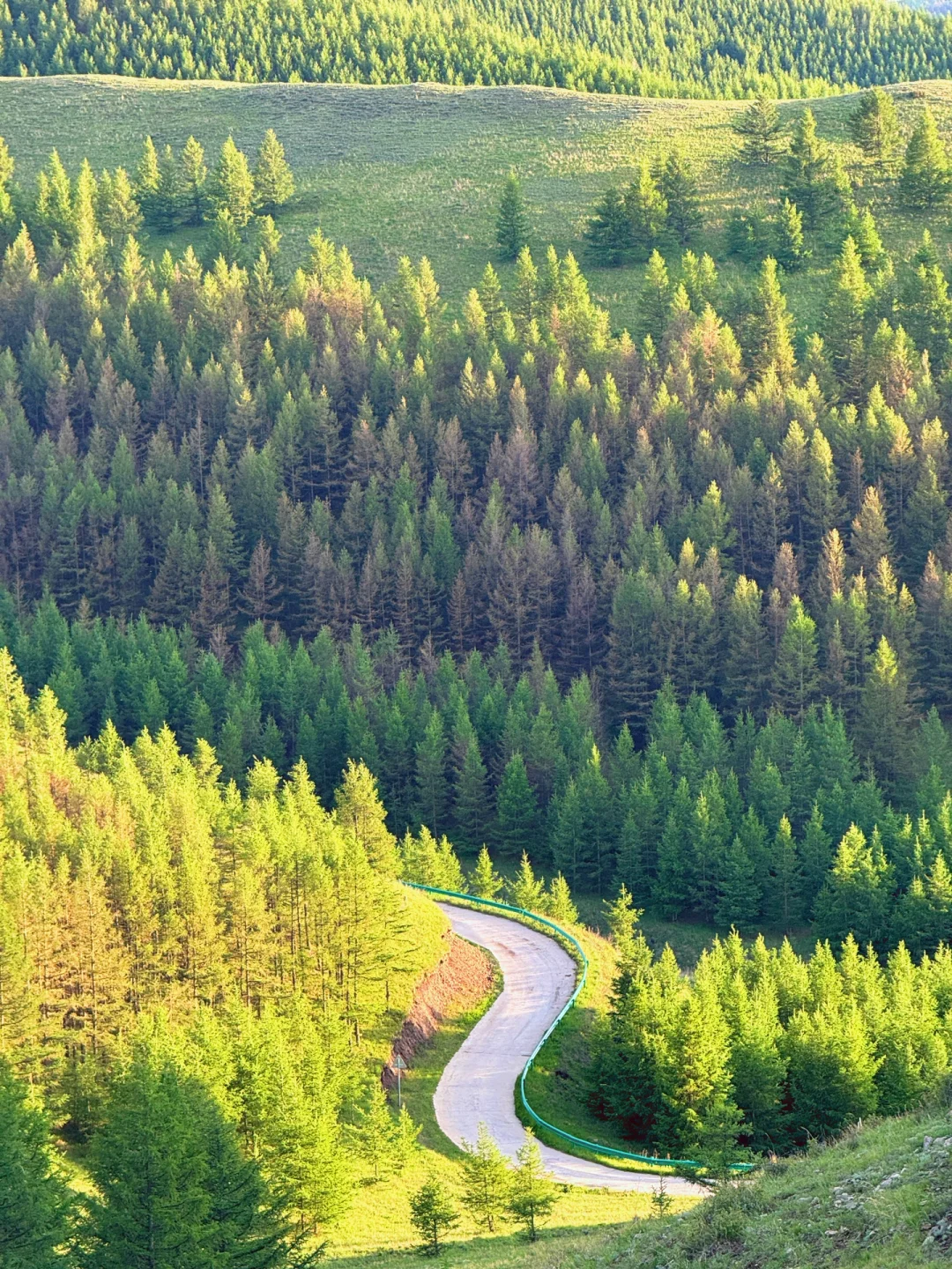 这个夏天总要来趟内蒙古小瑞士🌲(附live图)
