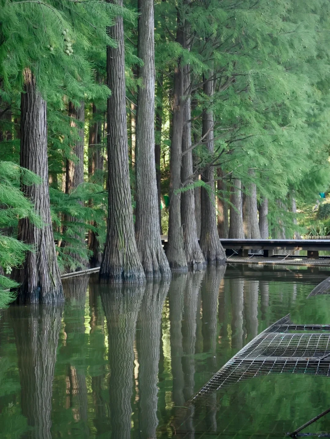 快来马鞍山，解锁一座宝藏小城！