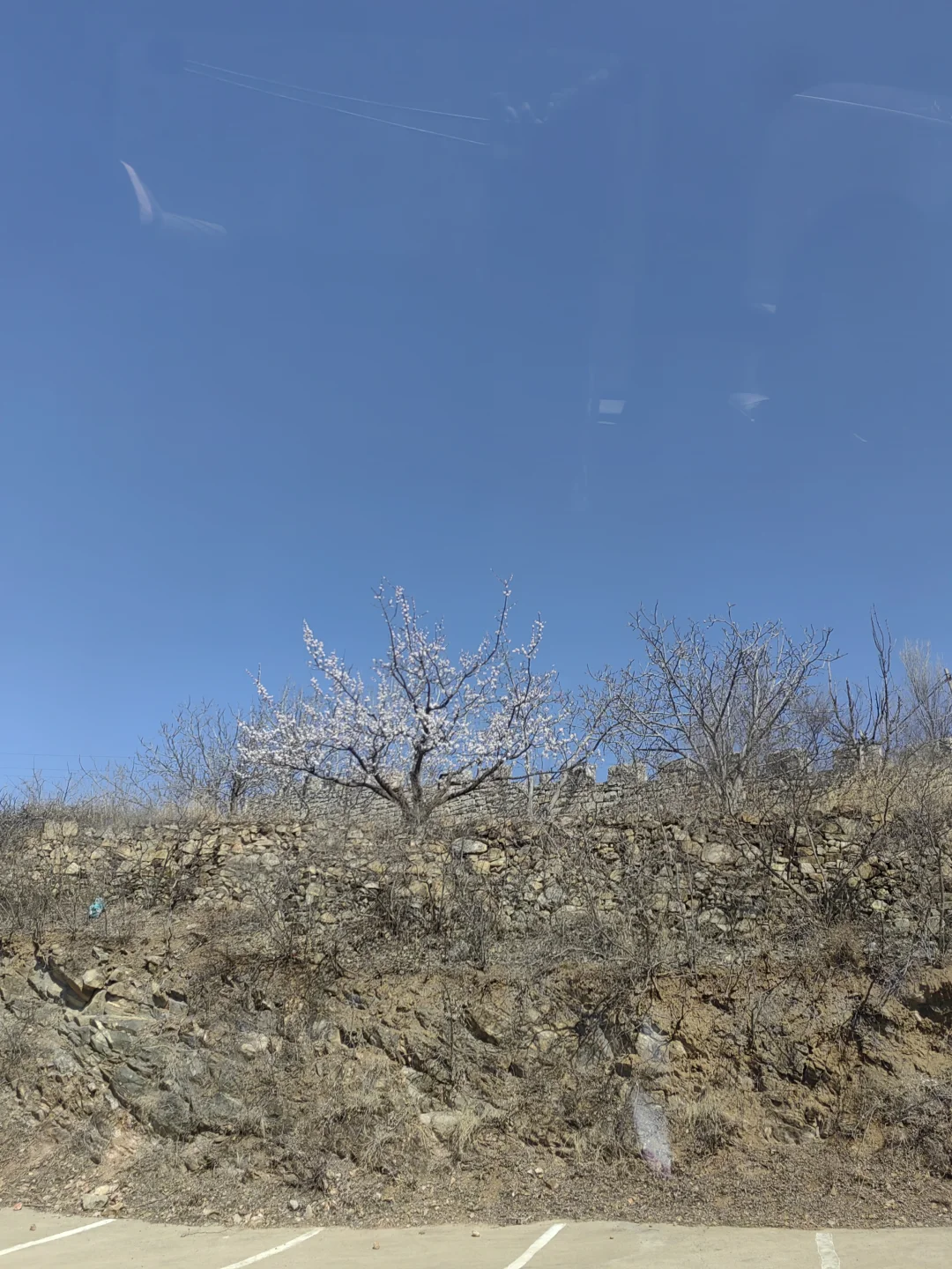 退休后我在南部山区的闲居生活